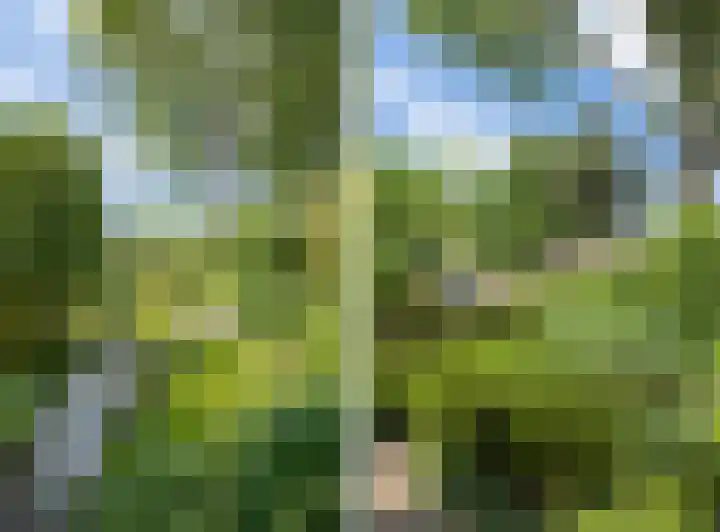 Tweede Hervendreef 45 's-Hertogenbosch thumbnail 41