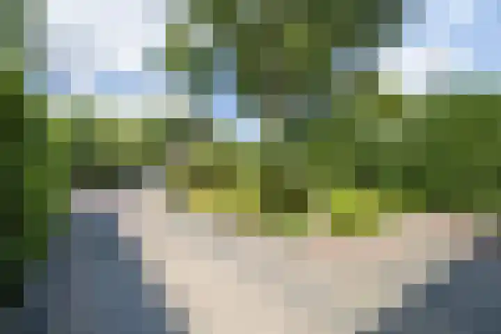 Tweede Hervendreef 45 's-Hertogenbosch thumbnail 42