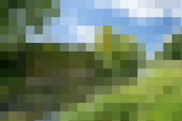 Tweede Hervendreef 45 's-Hertogenbosch thumbnail 43