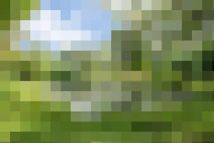 Tweede Hervendreef 45 's-Hertogenbosch thumbnail 44