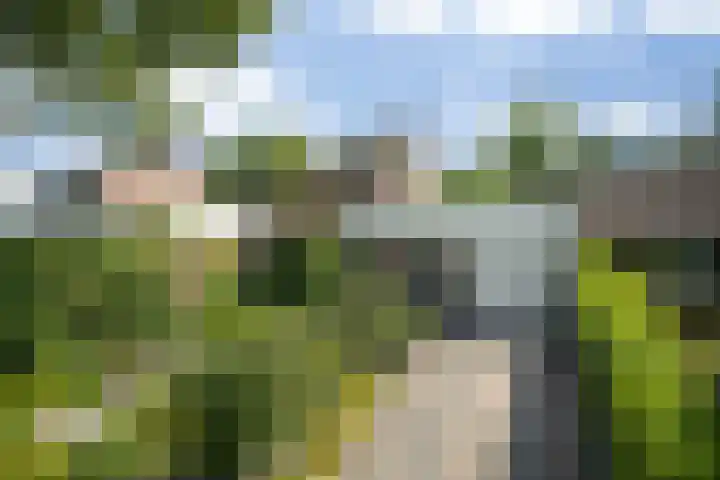Tweede Hervendreef 45 's-Hertogenbosch thumbnail 45