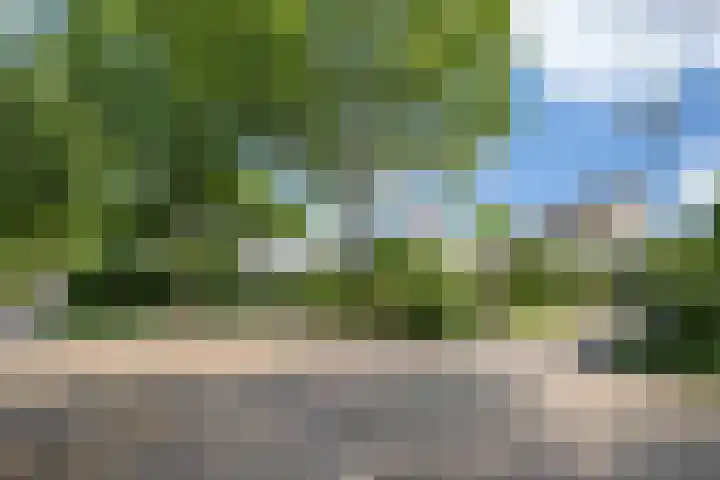 Tweede Hervendreef 45 's-Hertogenbosch thumbnail 48