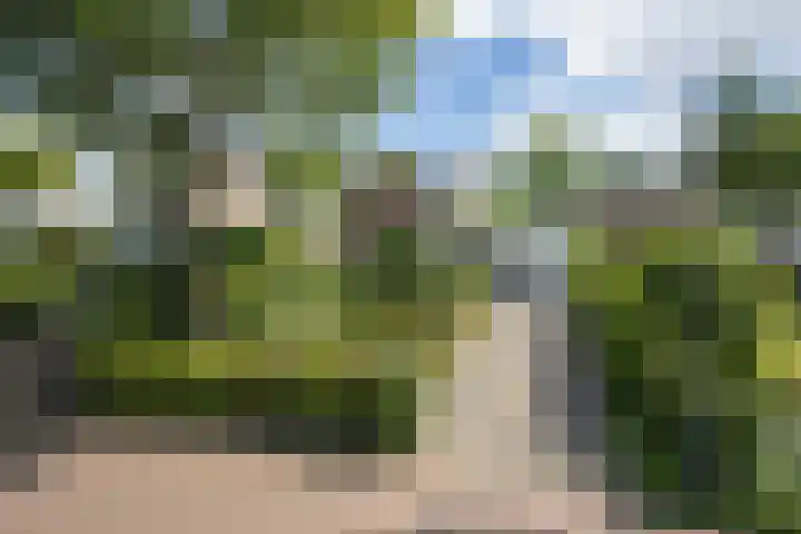 Tweede Hervendreef 45 's-Hertogenbosch thumbnail 49