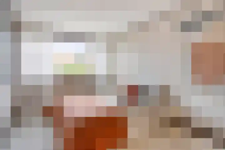 Tweede Hieronymus van Alphenstraat 42 Gouda thumbnail 15