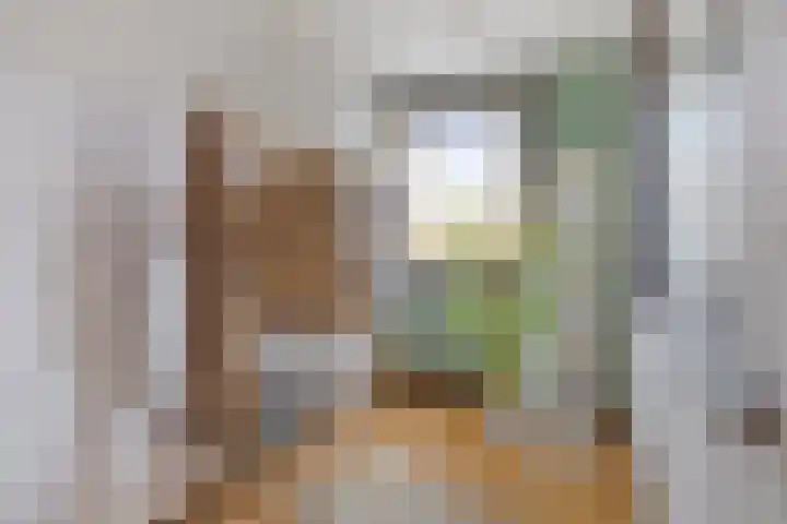 Tweede Hieronymus van Alphenstraat 42 Gouda thumbnail 17