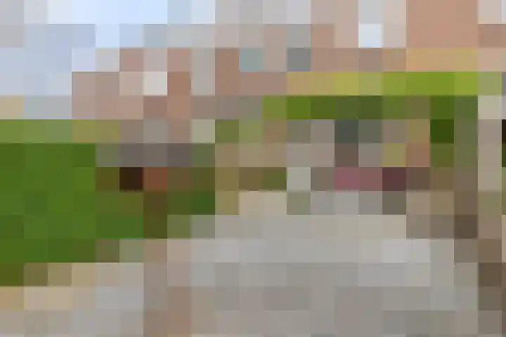 Tweede Hieronymus van Alphenstraat 42 Gouda thumbnail 28