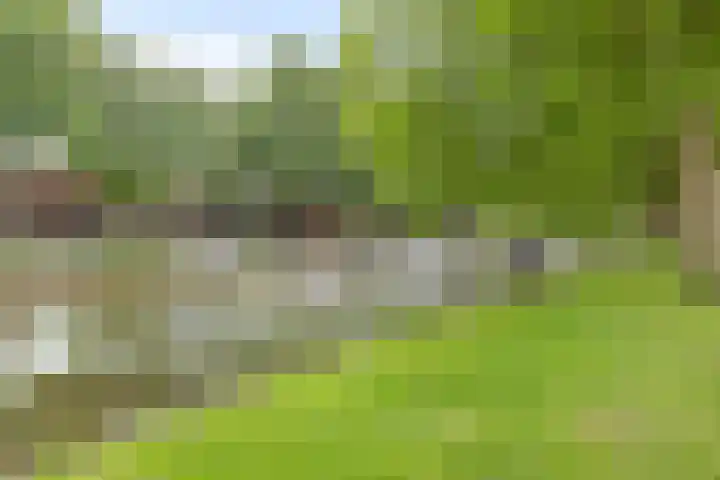 Tweede Hieronymus van Alphenstraat 42 Gouda thumbnail 31