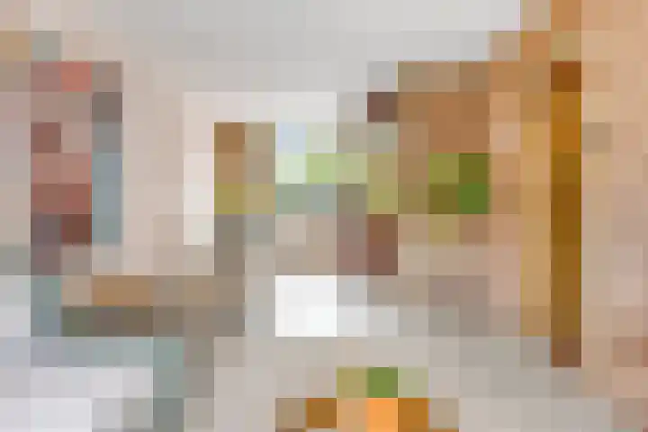 Tweede Hieronymus van Alphenstraat 42 Gouda thumbnail 9