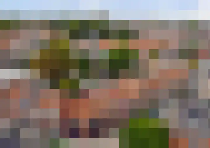 Tweede Hieronymus van Alphenstraat 52 in Gouda