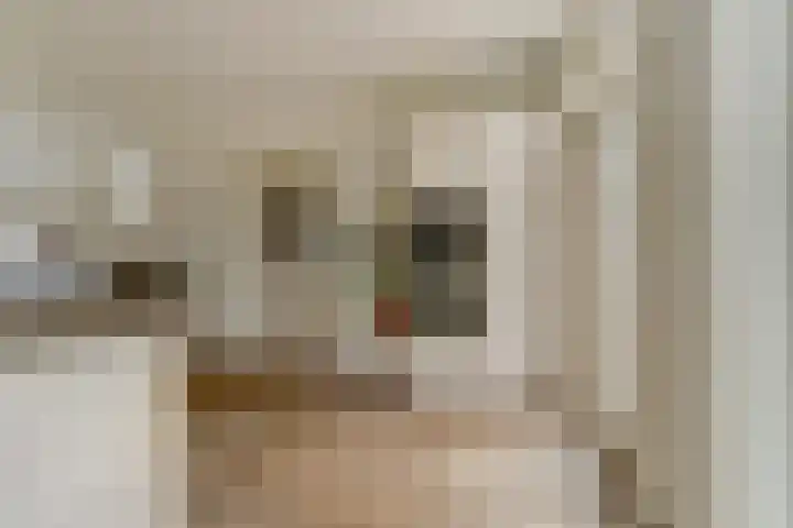 Tweede Hieronymus van Alphenstraat 52 Gouda thumbnail 11