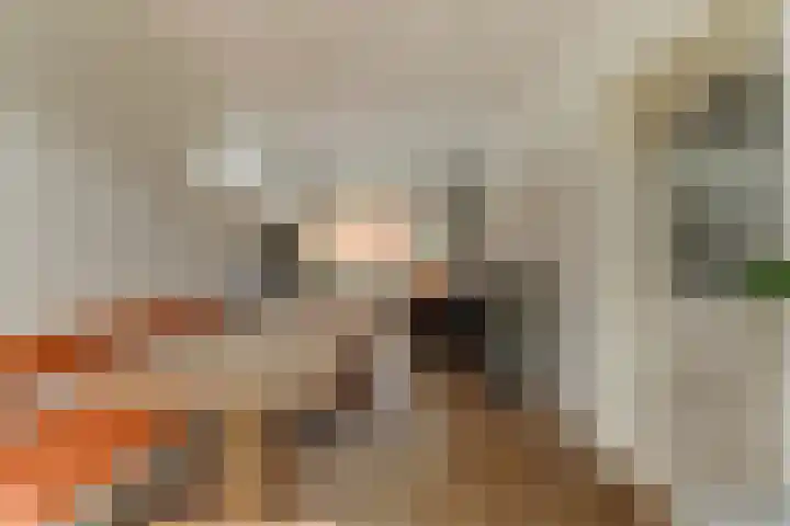 Tweede Hieronymus van Alphenstraat 52 Gouda thumbnail 13