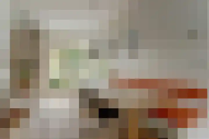 Tweede Hieronymus van Alphenstraat 52 Gouda thumbnail 14