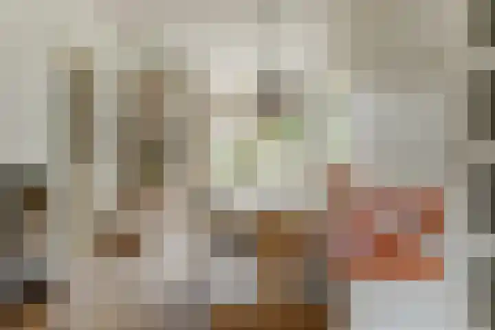 Tweede Hieronymus van Alphenstraat 52 Gouda thumbnail 15