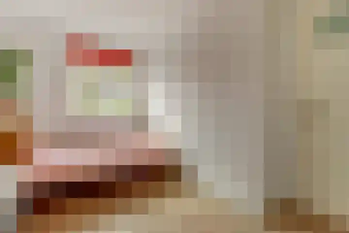 Tweede Hieronymus van Alphenstraat 52 Gouda thumbnail 19