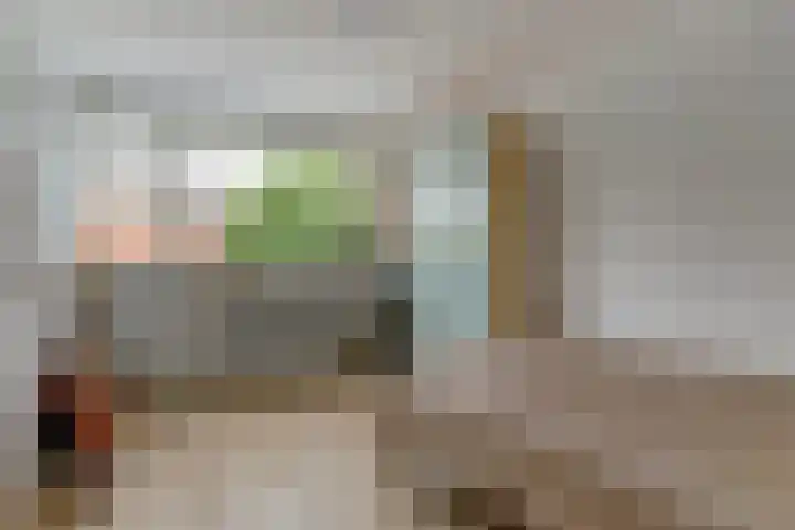 Tweede Hieronymus van Alphenstraat 52 Gouda thumbnail 20