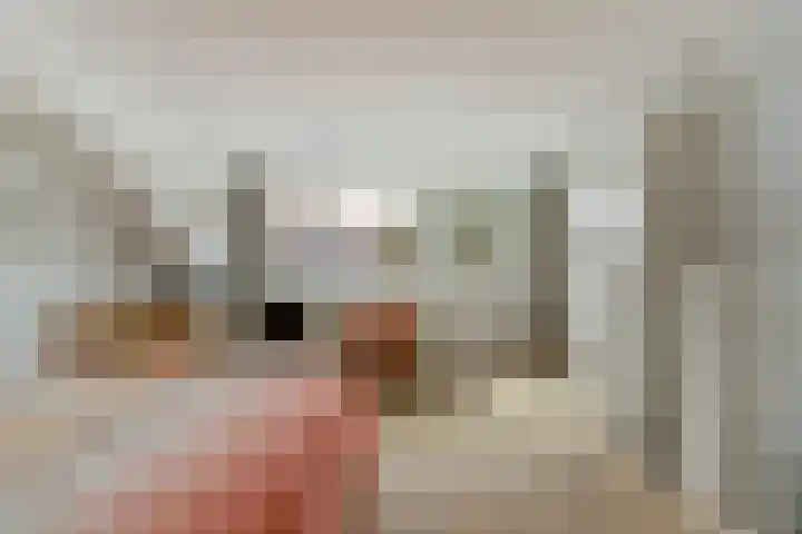 Tweede Hieronymus van Alphenstraat 52 Gouda thumbnail 30