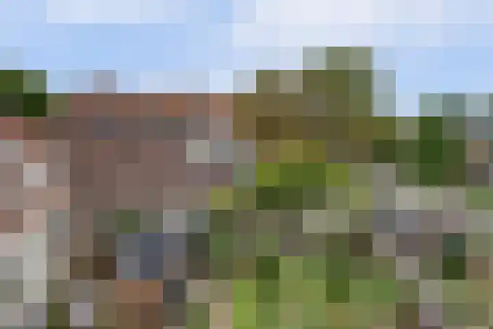 Tweede Hieronymus van Alphenstraat 52 Gouda thumbnail 35