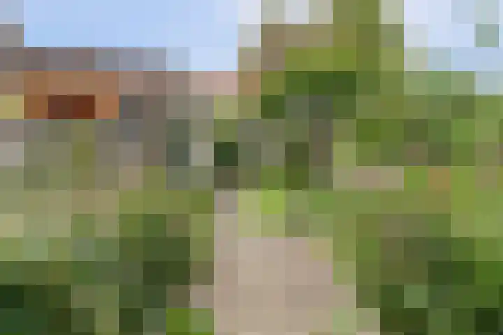 Tweede Hieronymus van Alphenstraat 52 Gouda thumbnail 38