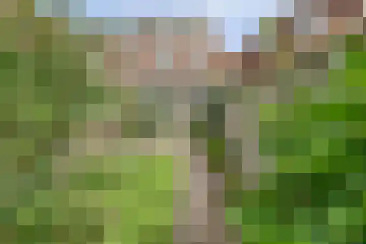 Tweede Hieronymus van Alphenstraat 52 Gouda thumbnail 39