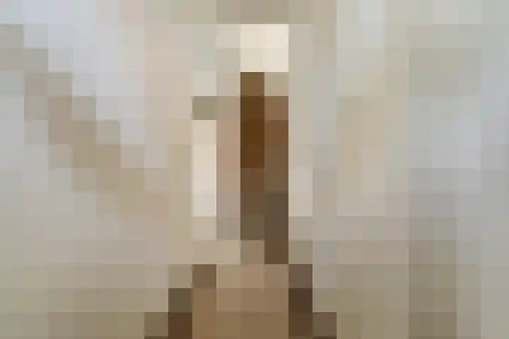 Tweede Hieronymus van Alphenstraat 52 Gouda thumbnail 7