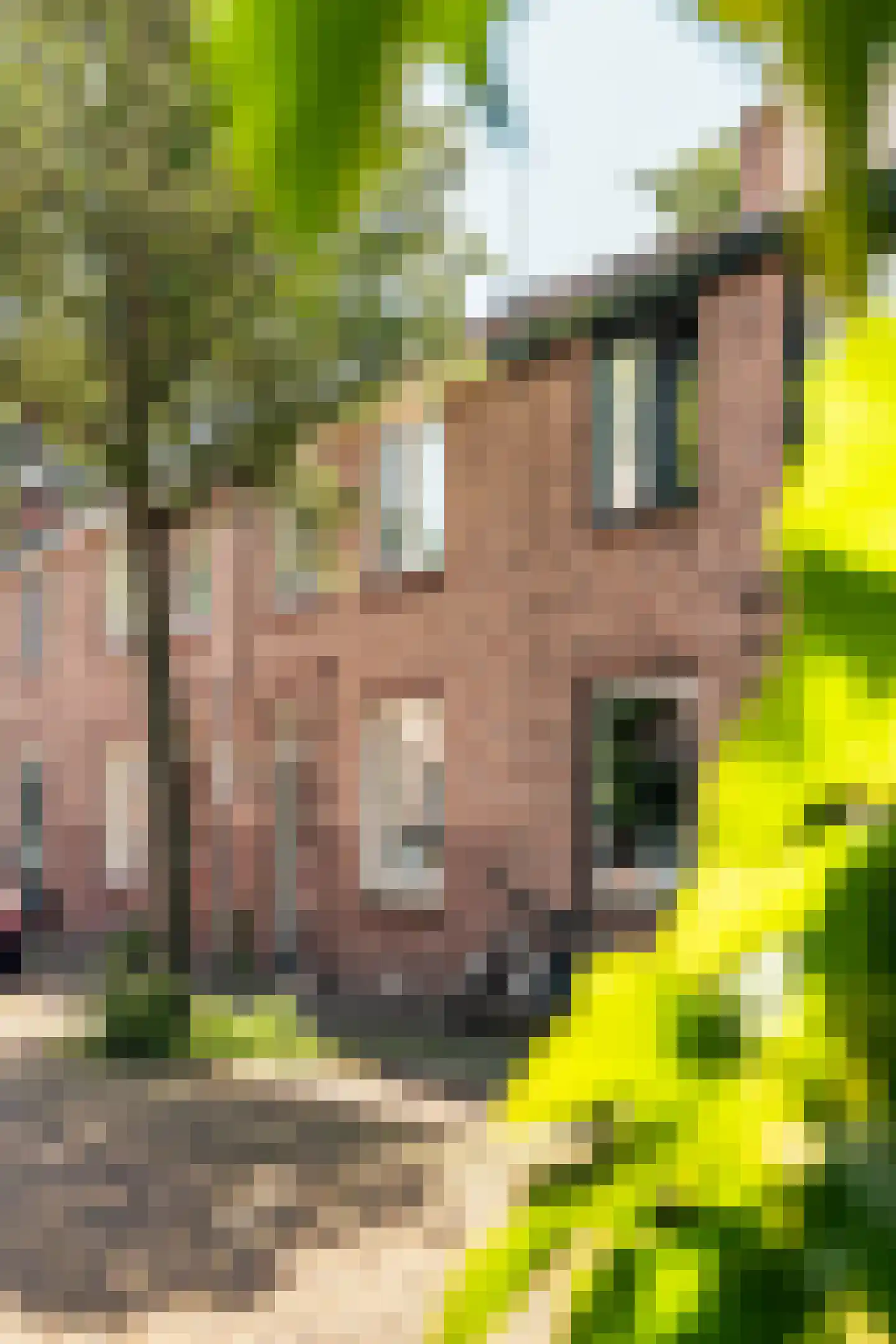 Tweede Hogerwoerddwarsstraat 13 Haarlem foto 2