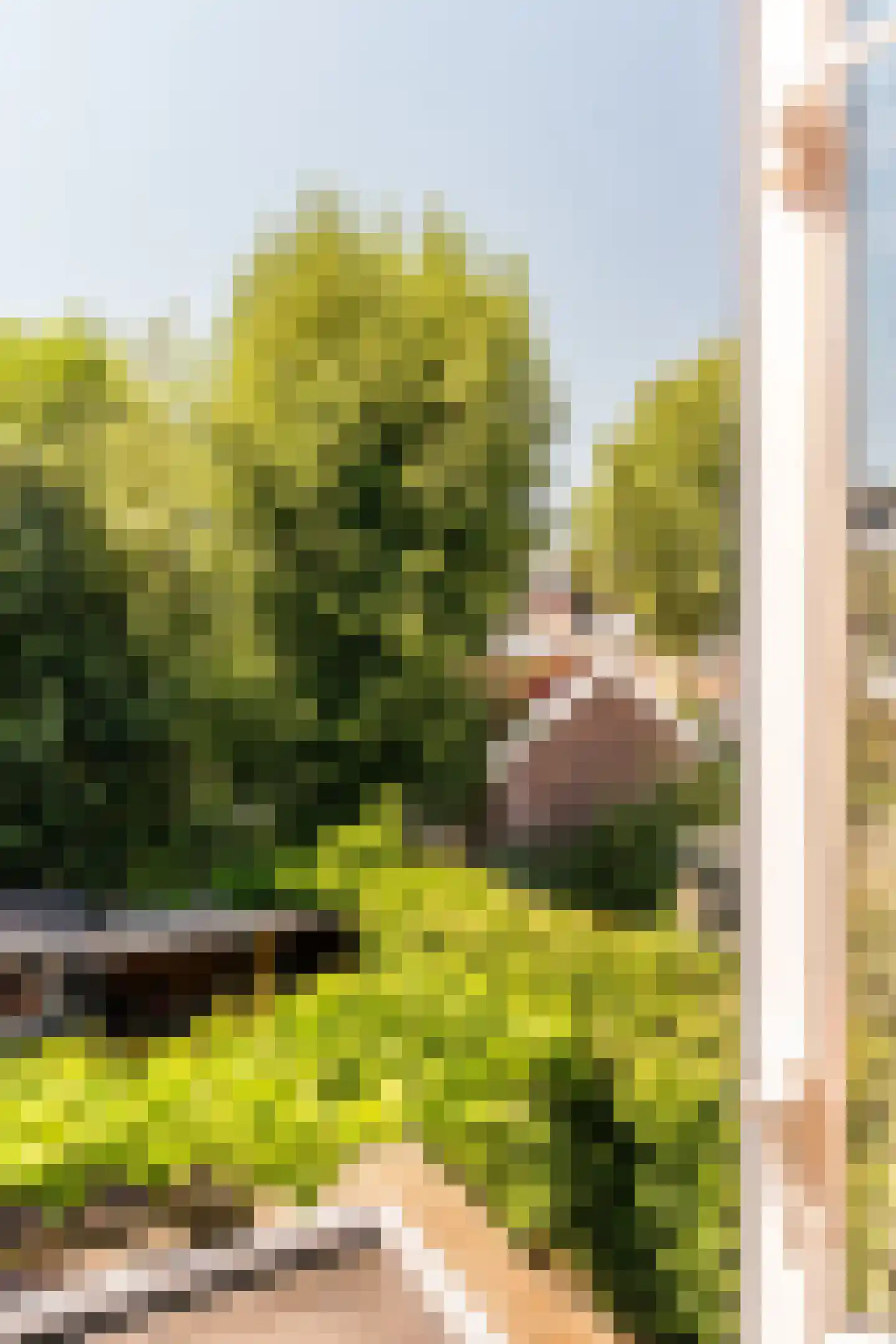 Tweede Hogerwoerddwarsstraat 13 Haarlem thumbnail 44