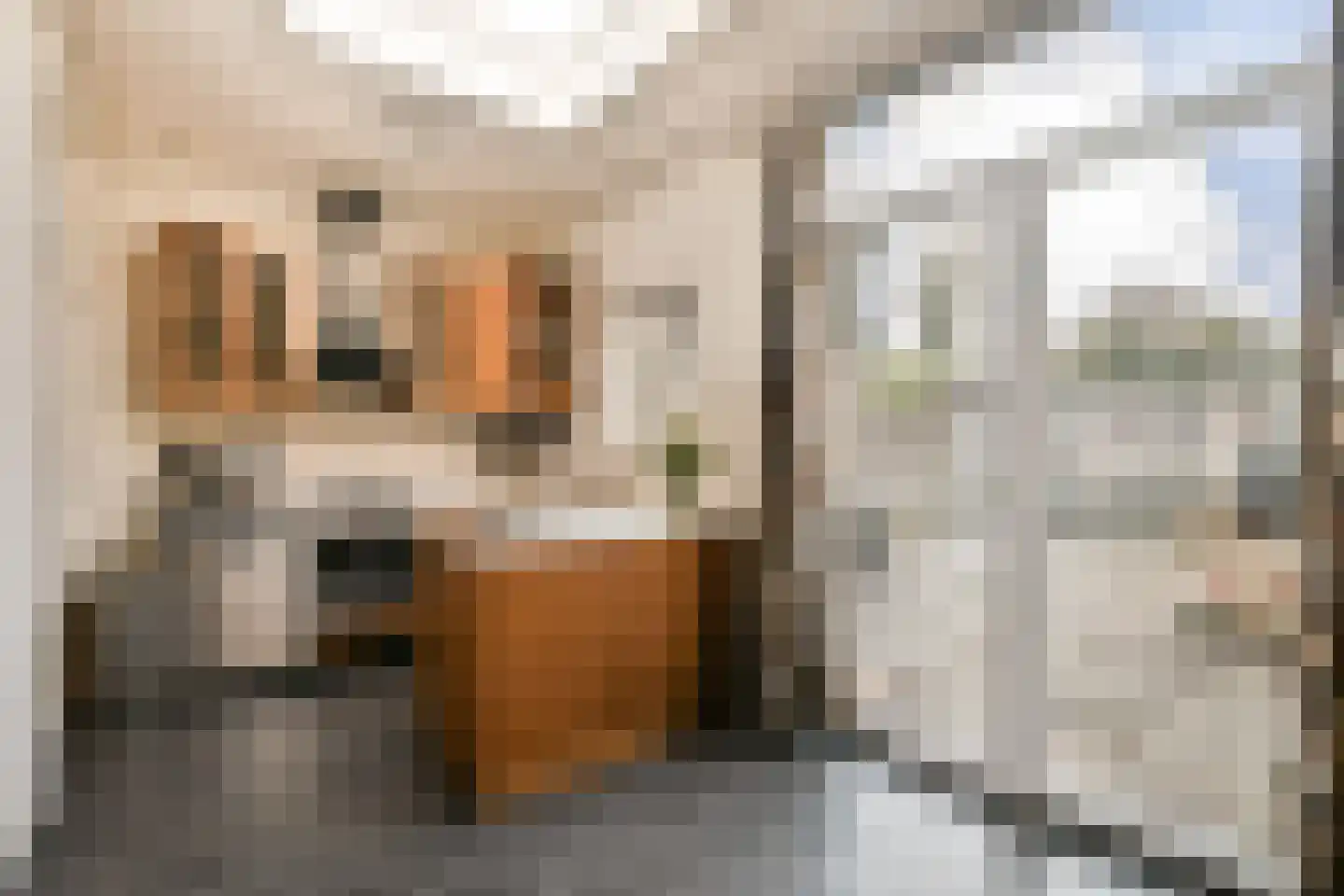Tweede Hogerwoerddwarsstraat 17 Haarlem thumbnail 4