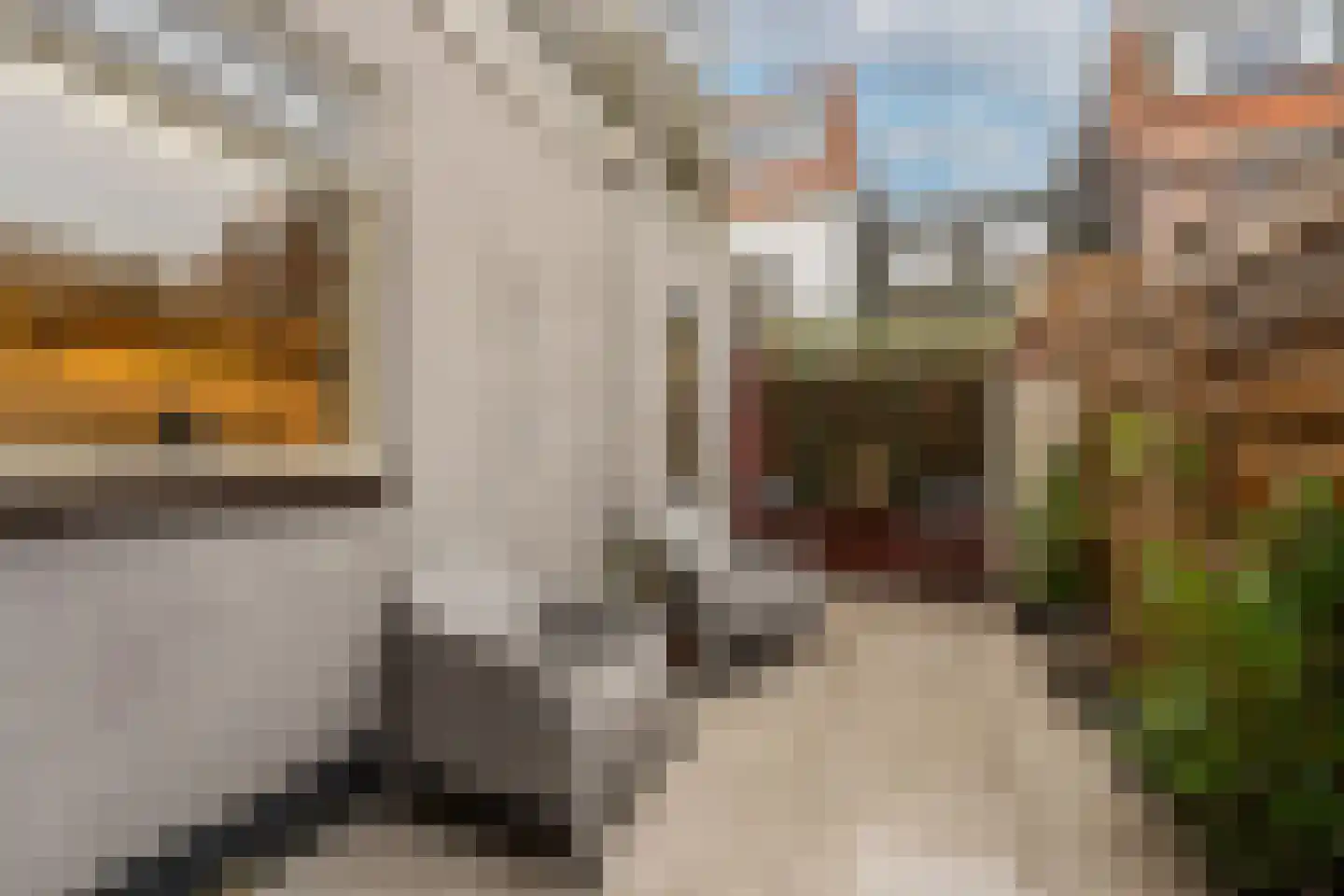 Tweede Hogerwoerddwarsstraat 39 Haarlem thumbnail 17