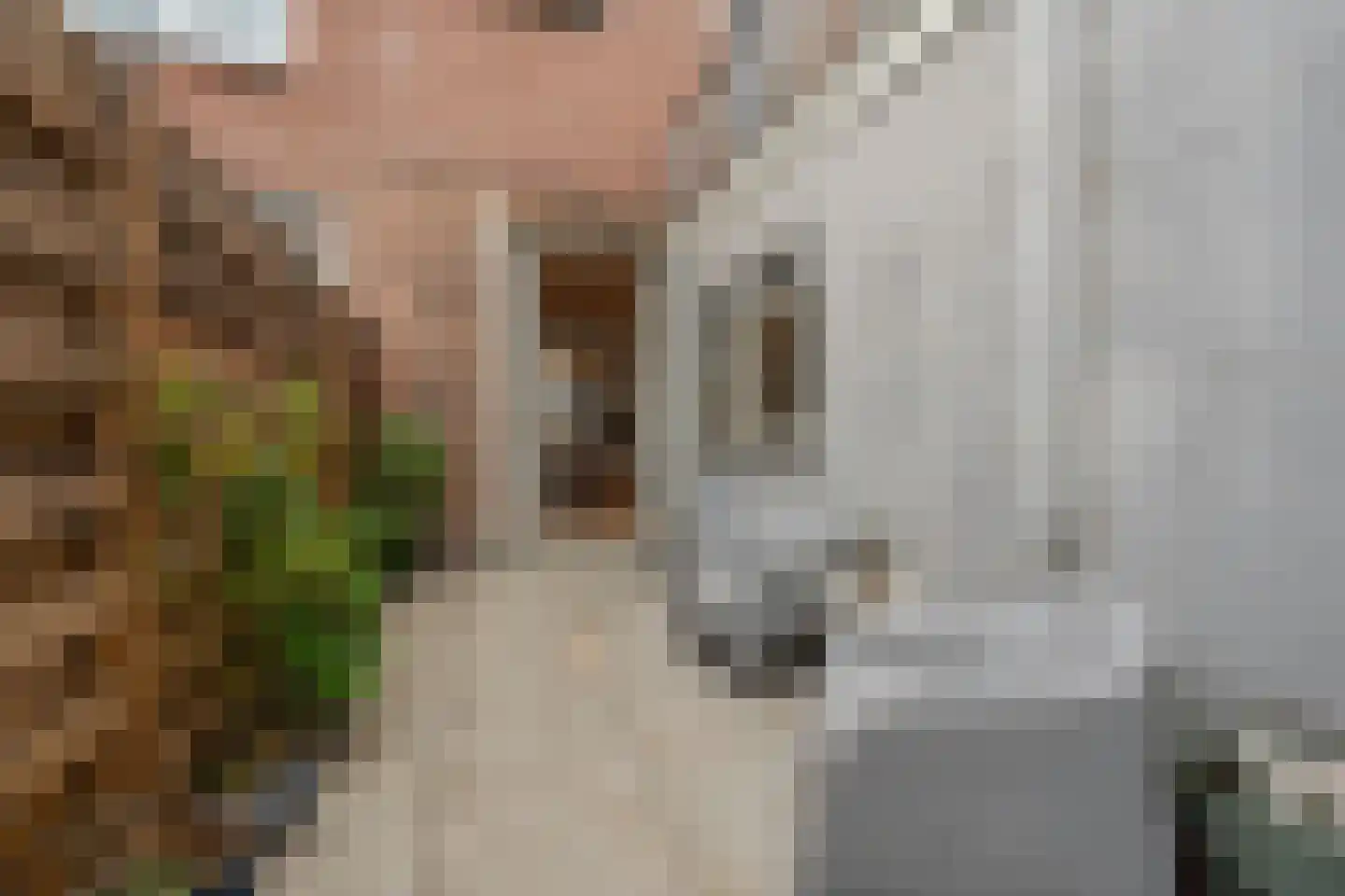 Tweede Hogerwoerddwarsstraat 39 Haarlem thumbnail 18