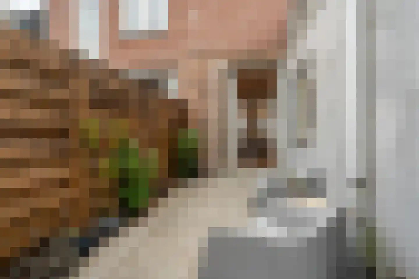 Tweede Hogerwoerddwarsstraat 39 Haarlem thumbnail 19