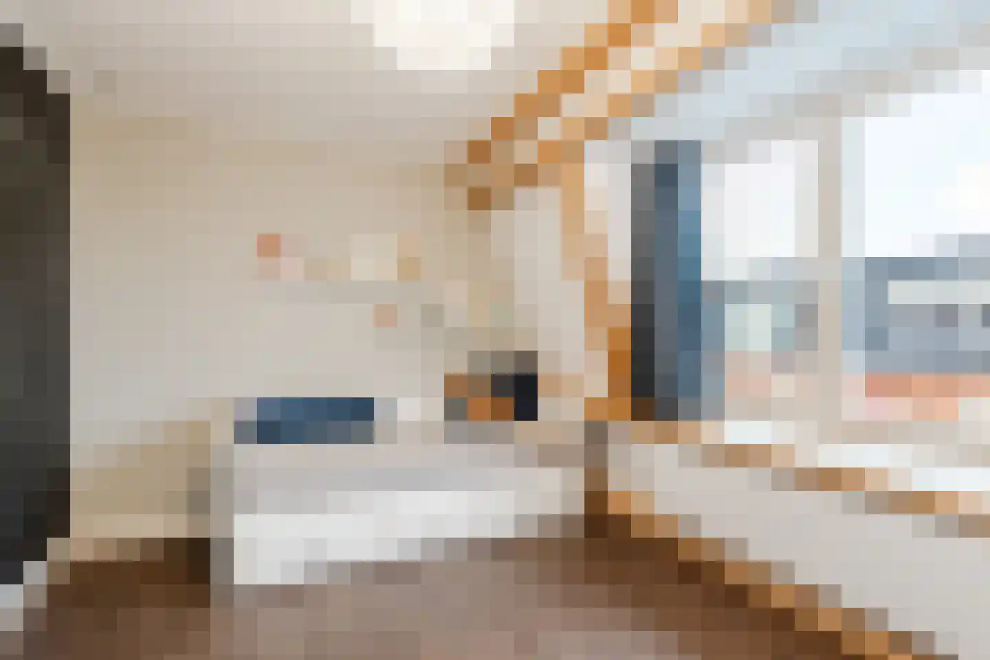 Tweede Hogerwoerddwarsstraat 39 Haarlem thumbnail 39