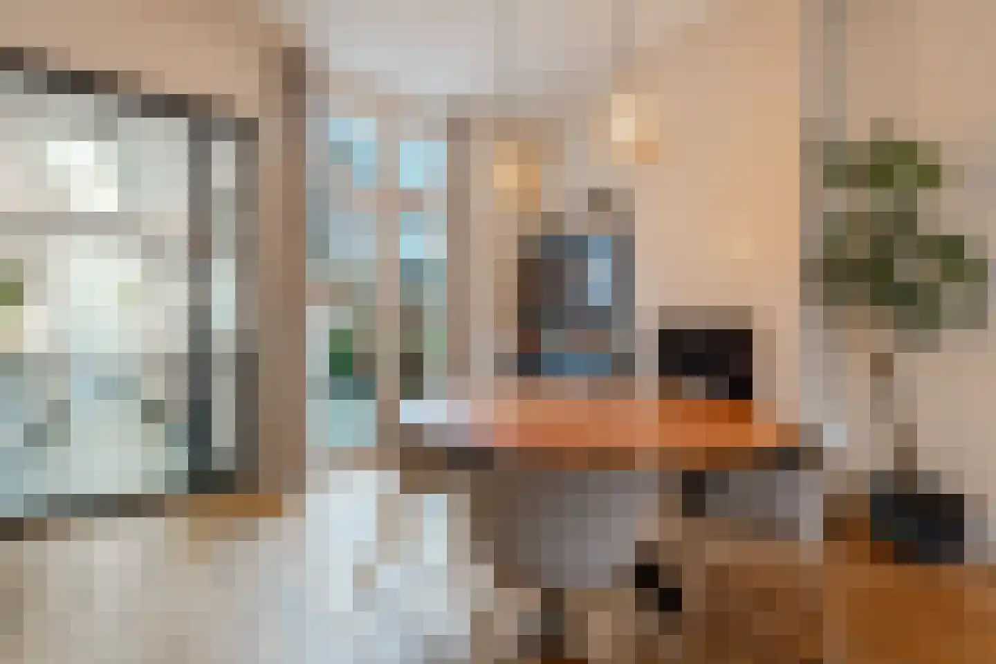 Tweede Hogerwoerddwarsstraat 39 Haarlem thumbnail 9