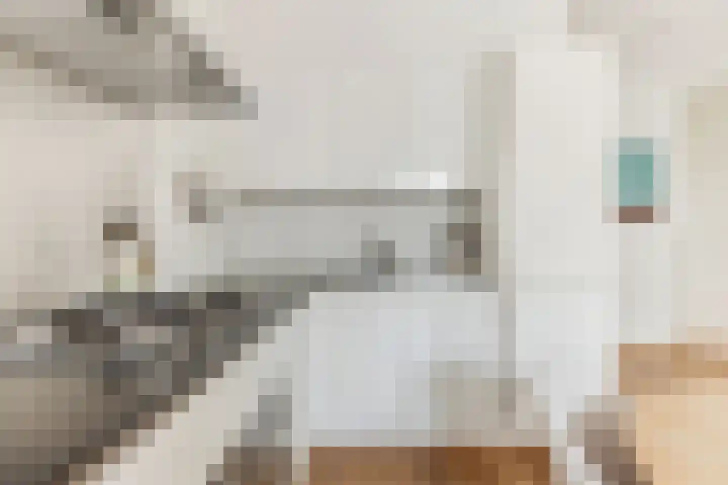 Tweede Hugo de Grootstraat 11 1 Amsterdam thumbnail 24