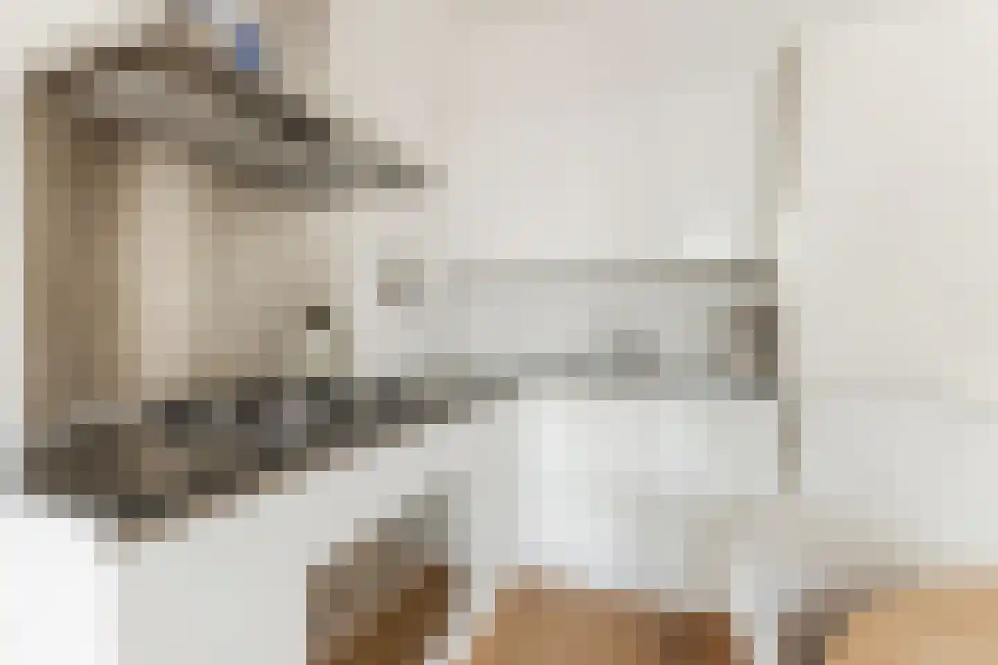 Tweede Hugo de Grootstraat 11 1 Amsterdam thumbnail 26