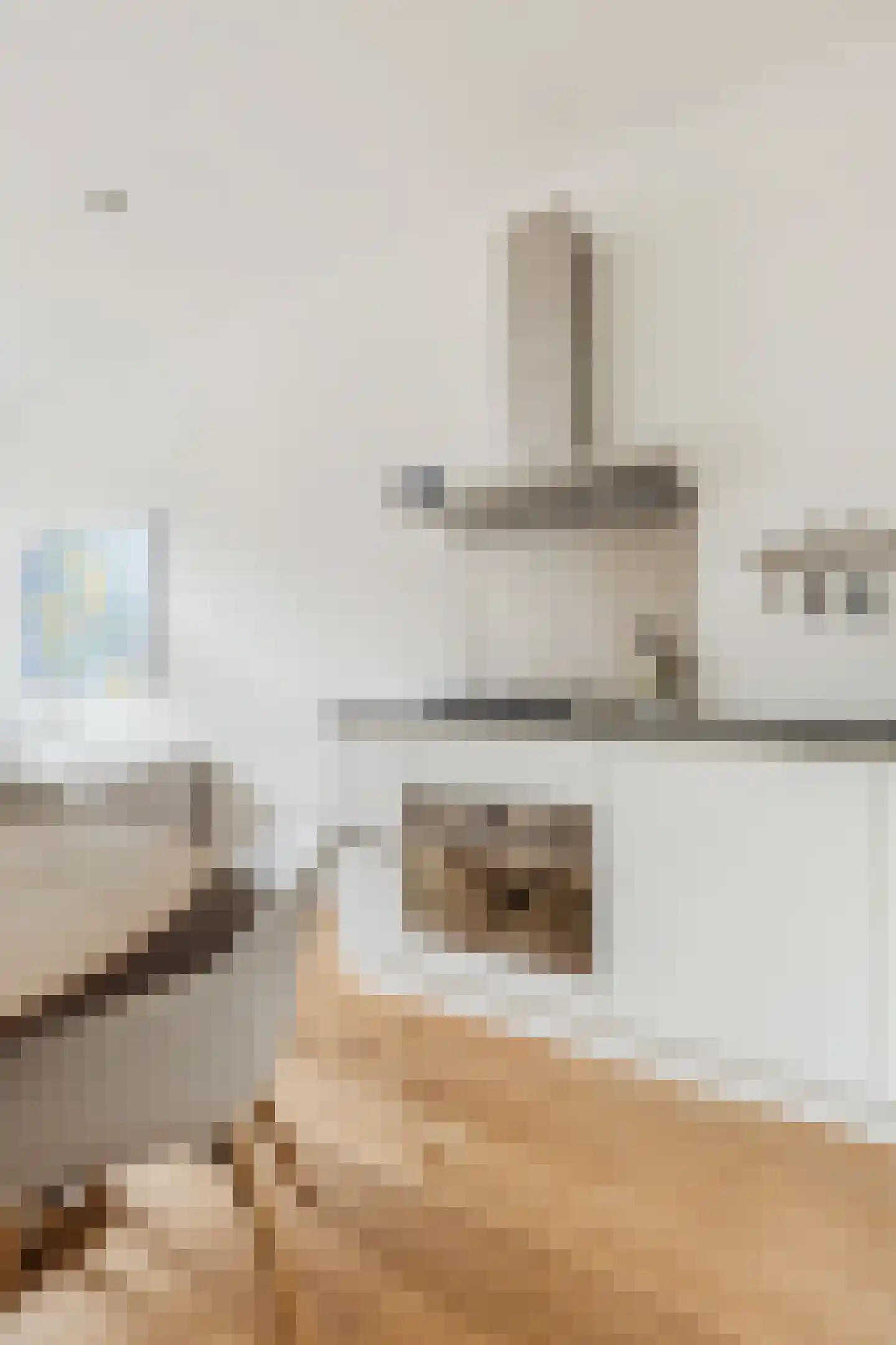 Tweede Hugo de Grootstraat 11 1 Amsterdam thumbnail 28