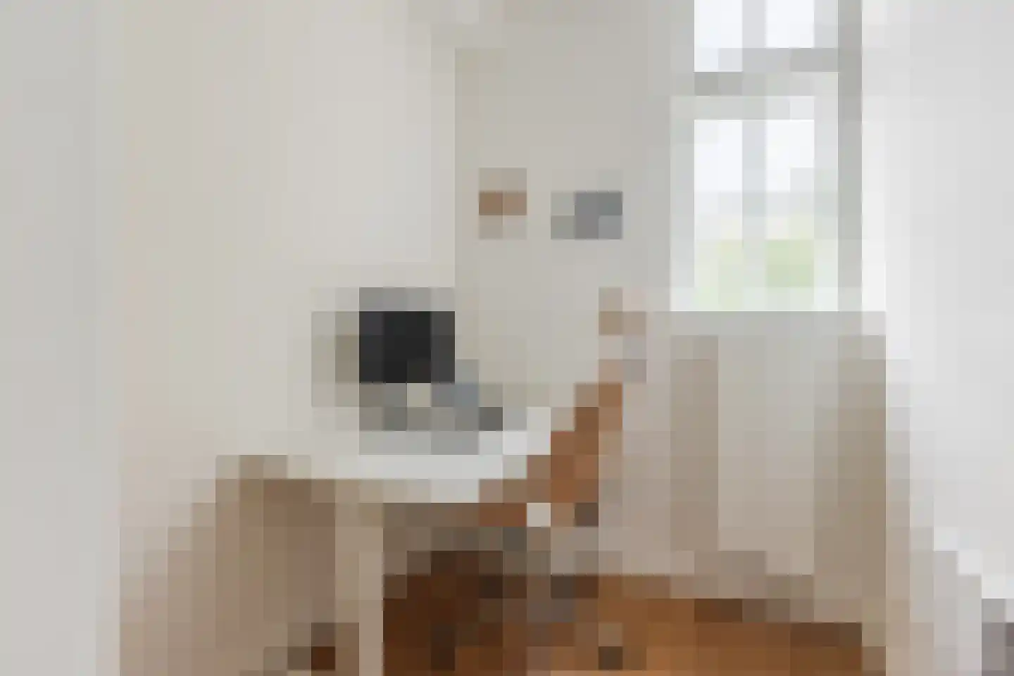 Tweede Hugo de Grootstraat 11 1 Amsterdam thumbnail 31