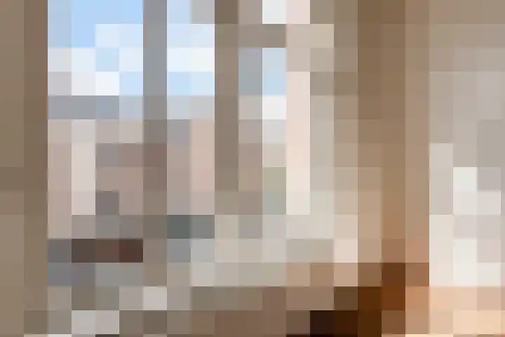 Tweede Hugo de Grootstraat 12 1 Amsterdam thumbnail 5