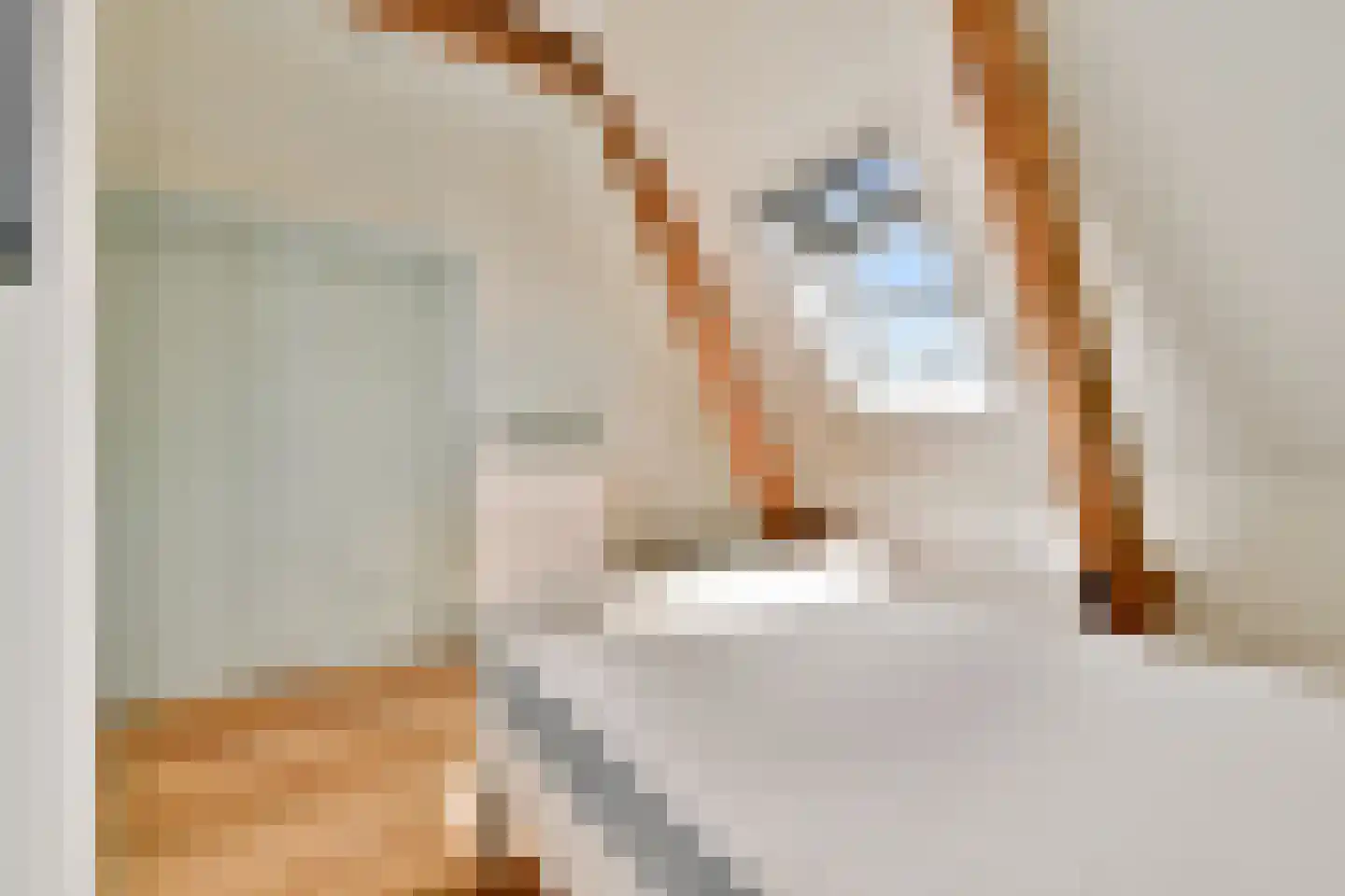 Tweede Hugo de Grootstraat 14 3 Amsterdam thumbnail 15