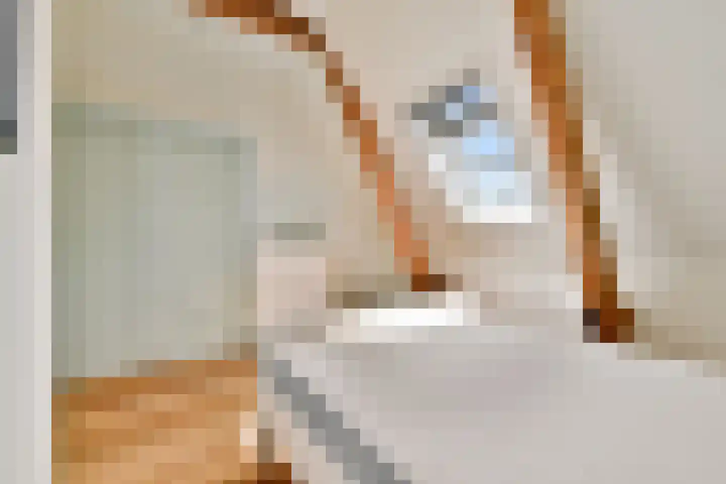 Tweede Hugo de Grootstraat 14 3 Amsterdam thumbnail 15