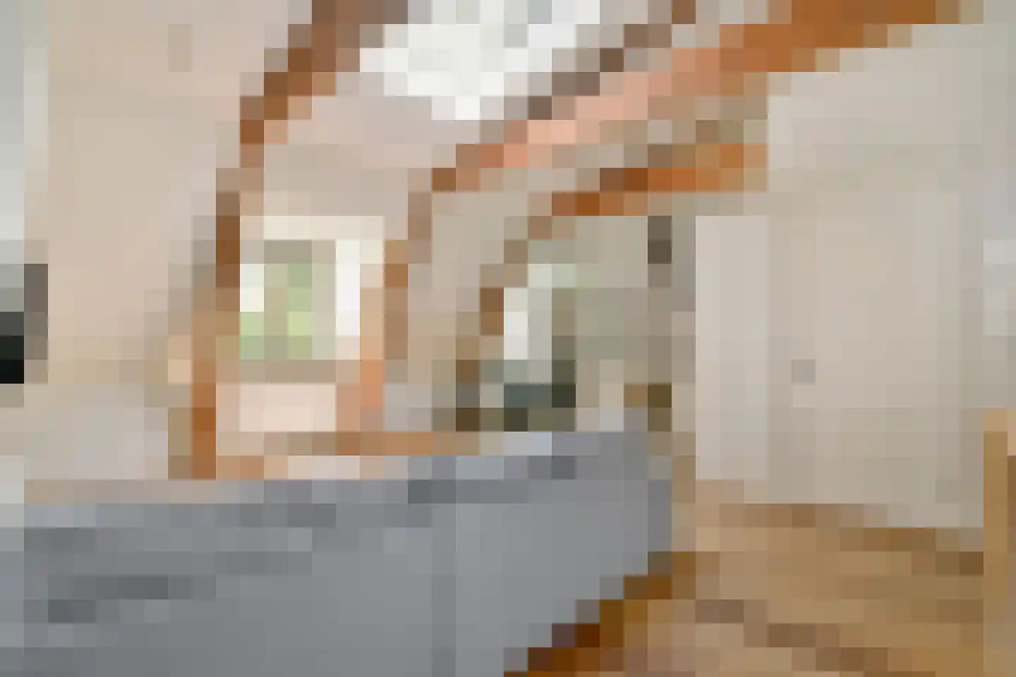 Tweede Hugo de Grootstraat 14 3 Amsterdam thumbnail 4