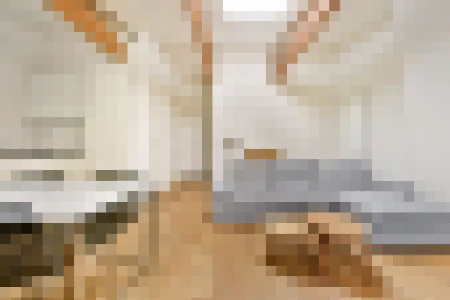 Tweede Hugo de Grootstraat 14 3 Amsterdam thumbnail 5