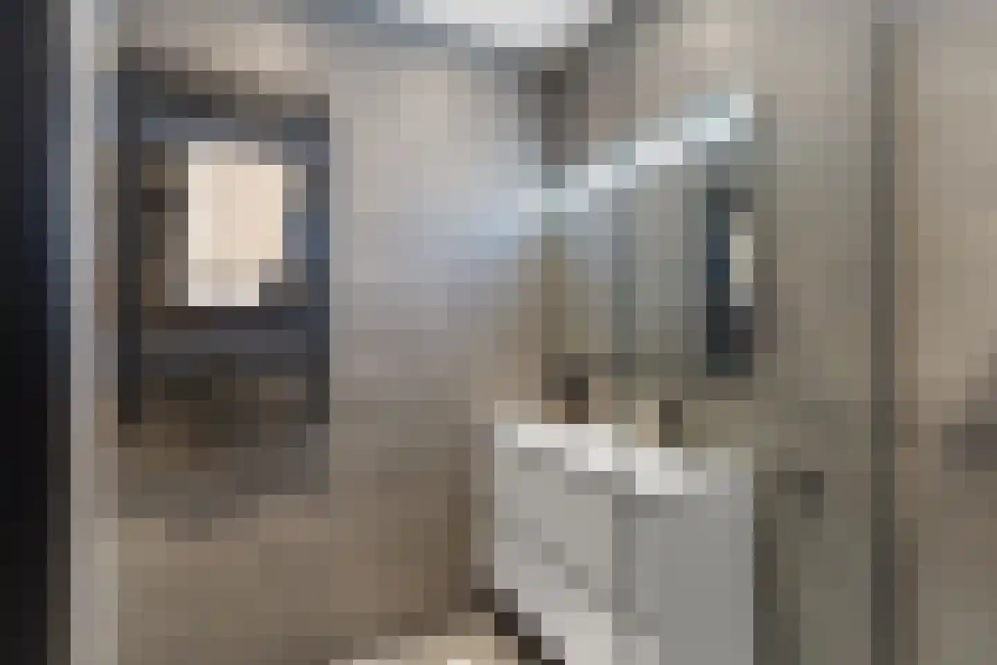 Tweede Hugo de Grootstraat 16 1 Amsterdam thumbnail 18