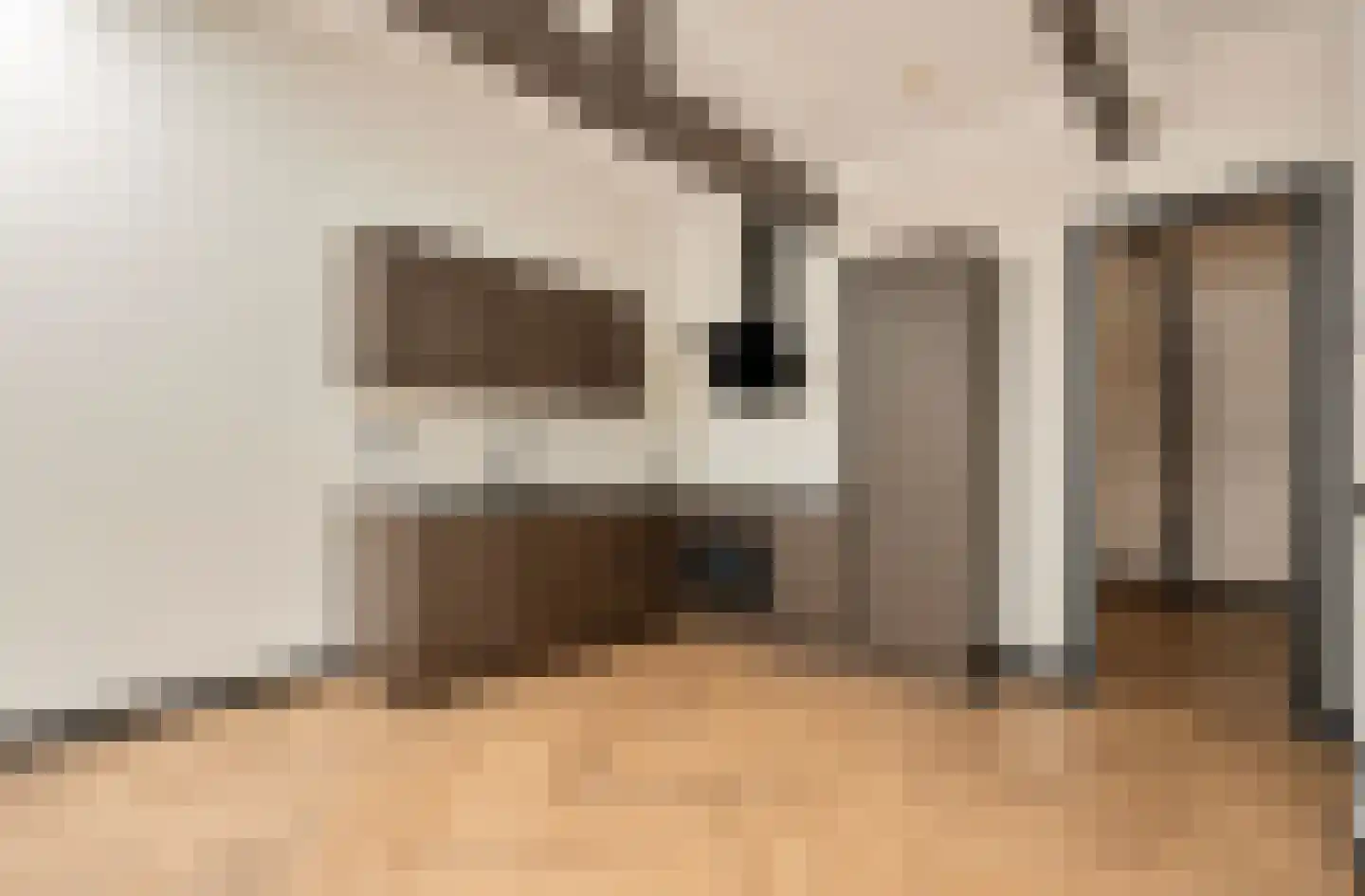 Tweede Hugo de Grootstraat 16 3 Amsterdam thumbnail 13