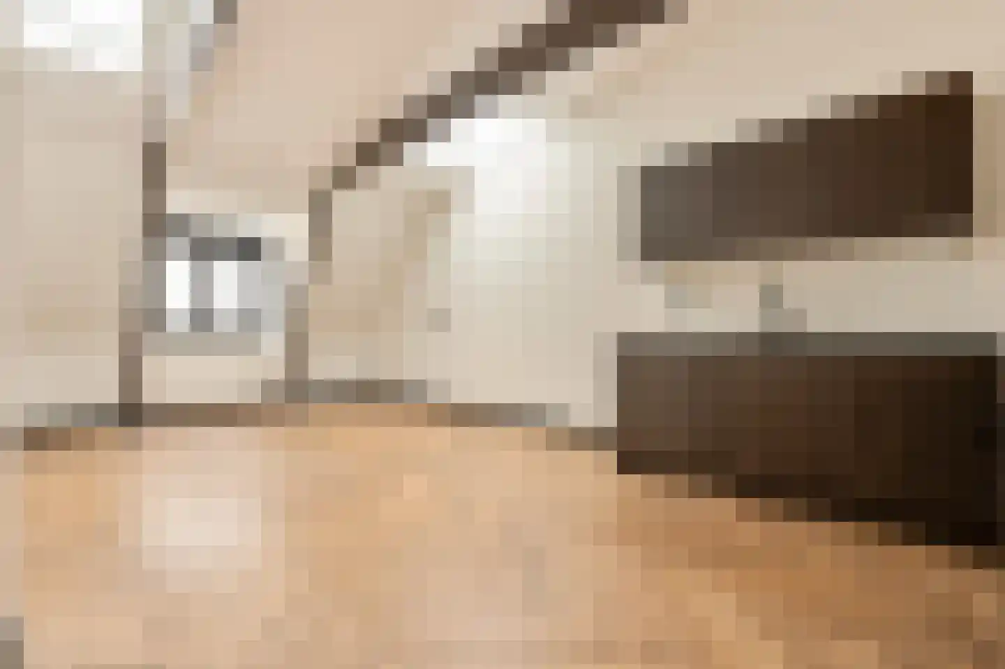 Tweede Hugo de Grootstraat 16 3 Amsterdam thumbnail 4