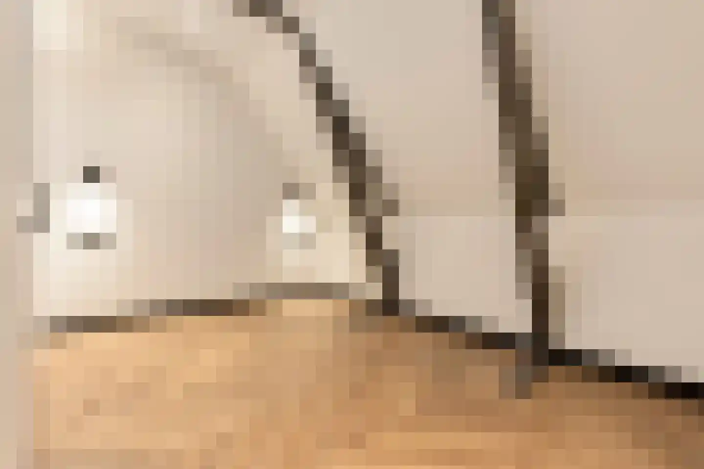 Tweede Hugo de Grootstraat 16 3 Amsterdam thumbnail 6