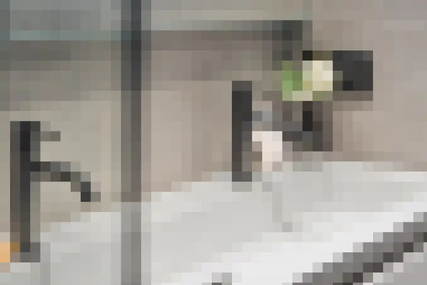 Tweede Hugo de Grootstraat 18 2 Amsterdam thumbnail 27