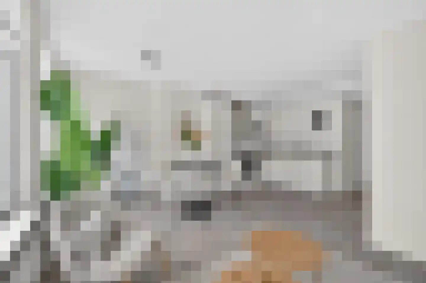 Tweede Hugo de Grootstraat 25 1 Amsterdam thumbnail 6
