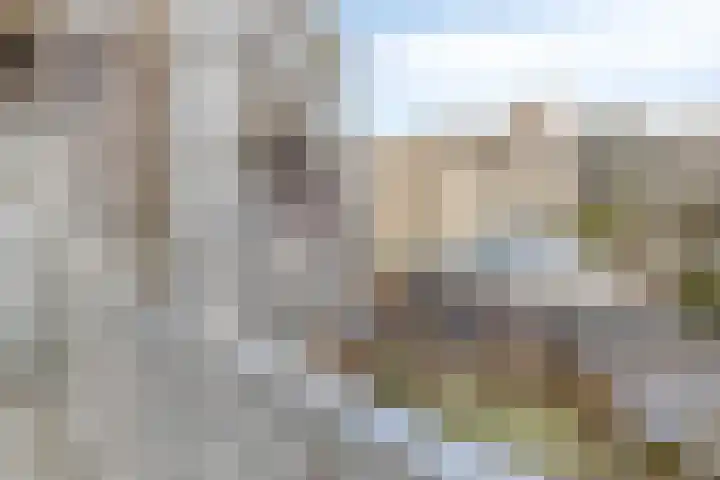 Tweede Hugo de Grootstraat 30 1 Amsterdam thumbnail 13