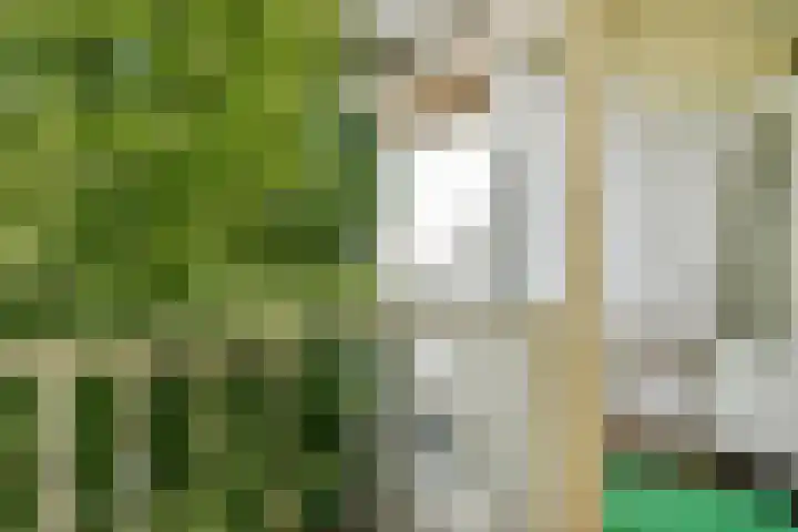 Tweede Hugo de Grootstraat 38 2 Amsterdam thumbnail 10