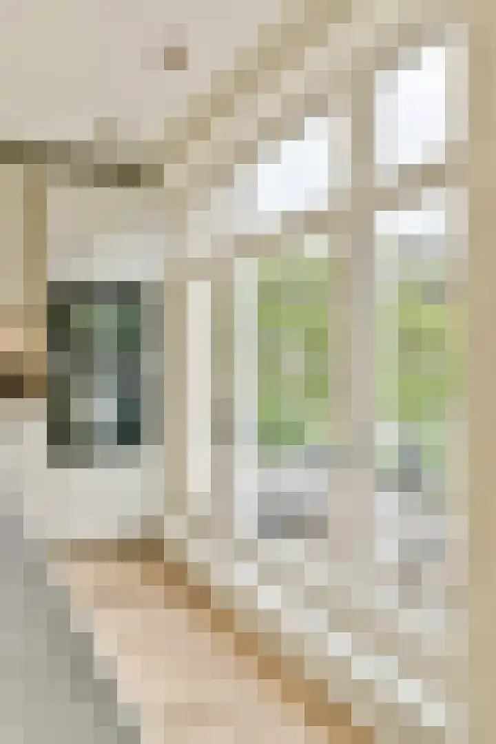 Tweede Hugo de Grootstraat 38 2 Amsterdam thumbnail 12